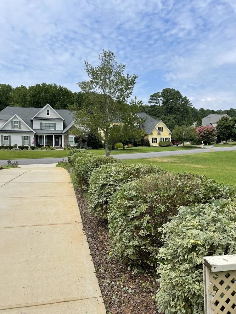 Expert yard cleanup service with custom design in Durham, NC by Oak City Lawn Care Service