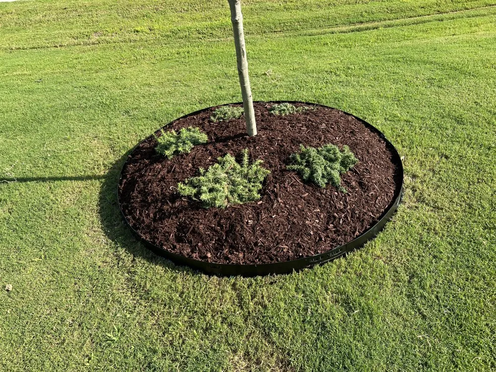 Trusted landscape design for beautiful yards across Raleigh, NC - Oak City Turf