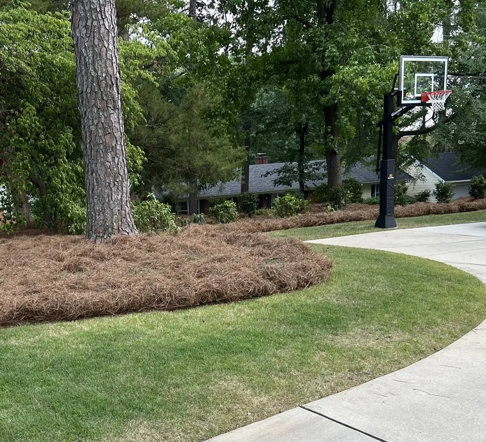 Expert residential landscaping in Raleigh, NC - Oak City Turf