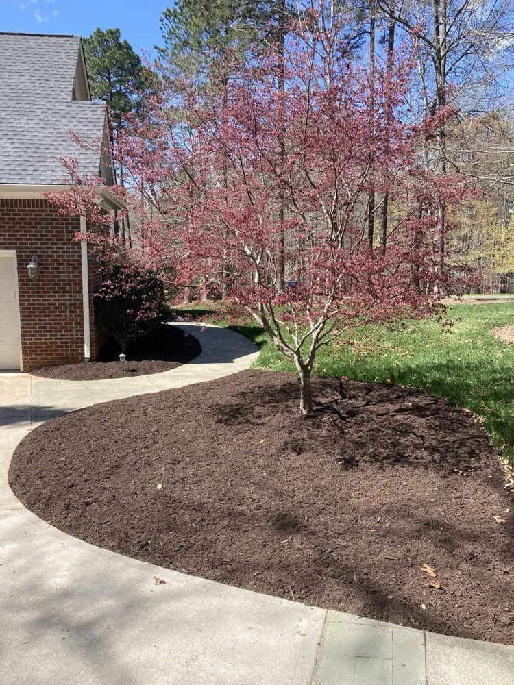 Local lawn mowing service in Raleigh, NC - Oak City Turf