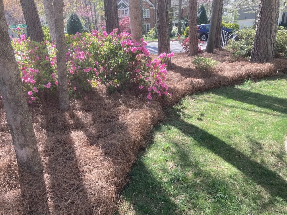 Local yard cleanup service in Raleigh, NC by Oak City Turf