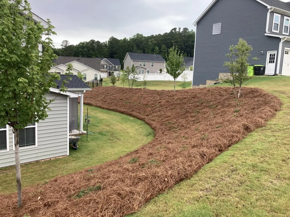 Professional lawn care service in Raleigh, NC - Oak City Turf