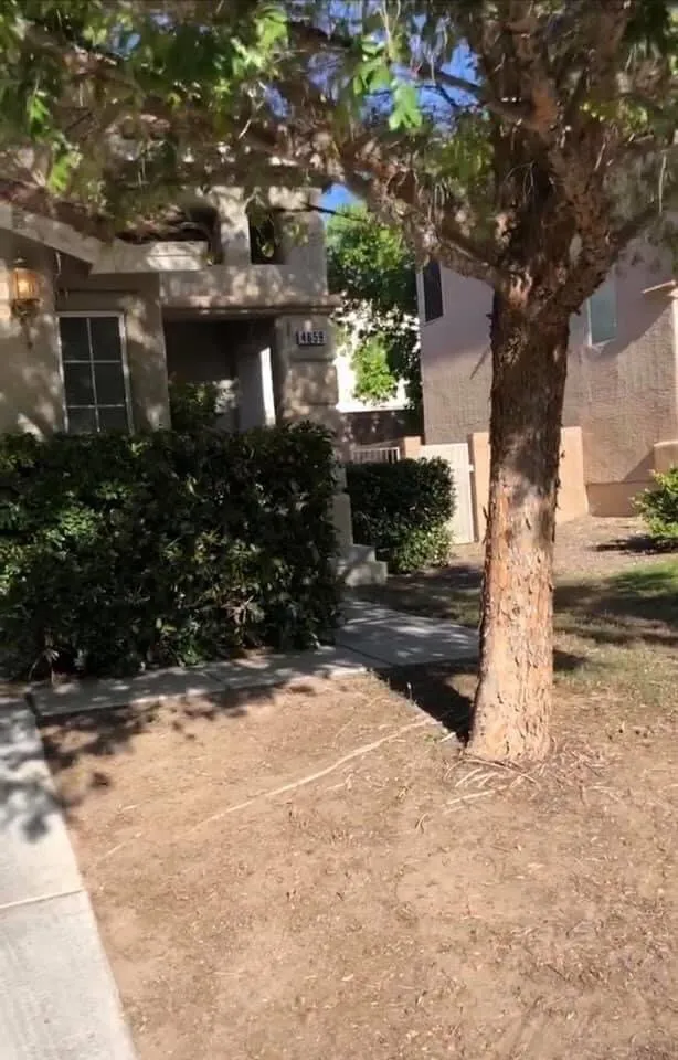 Trusted landscaping services in Las Vegas, NV - Oak Creek Lawn & Landscape