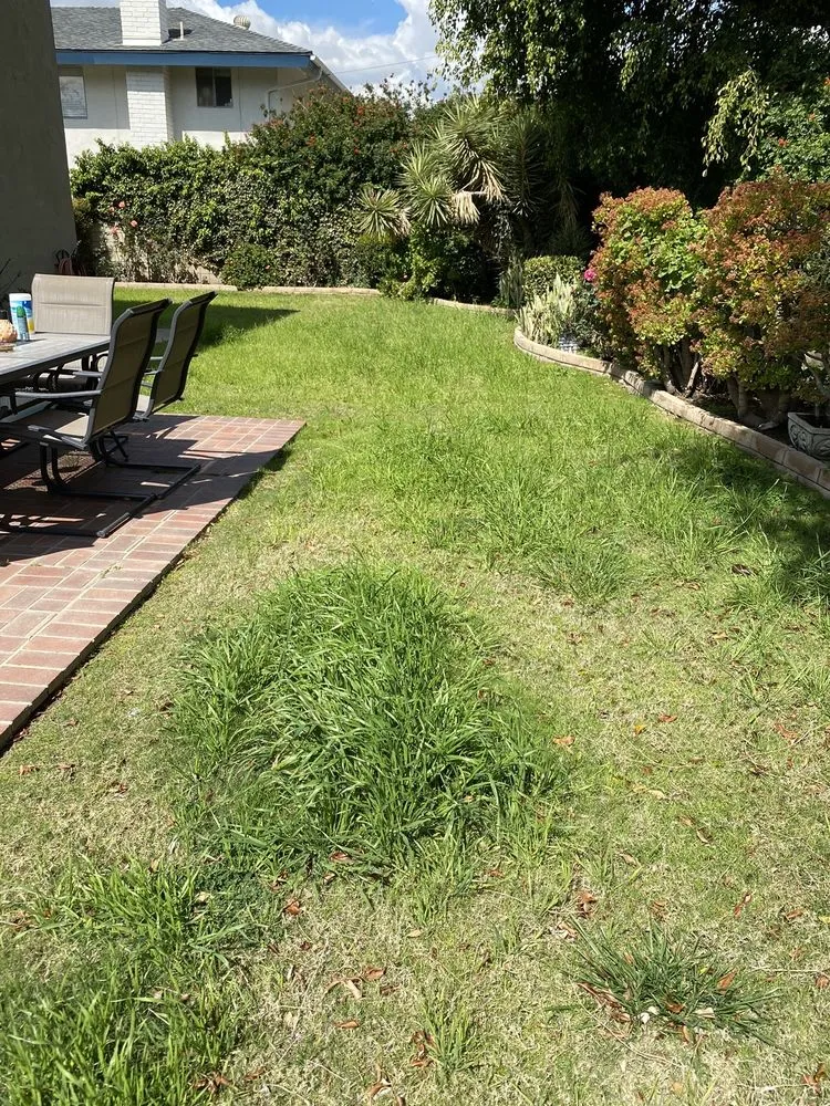 Reliable residential landscaping near you across Orange, CA - Oak Forest Landscape