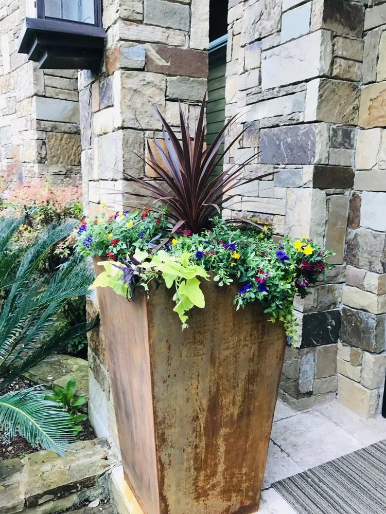 Top-rated lawn mowing service for year-round maintenance in Round Rock, TX by Oak Grove Lawn and Landscape