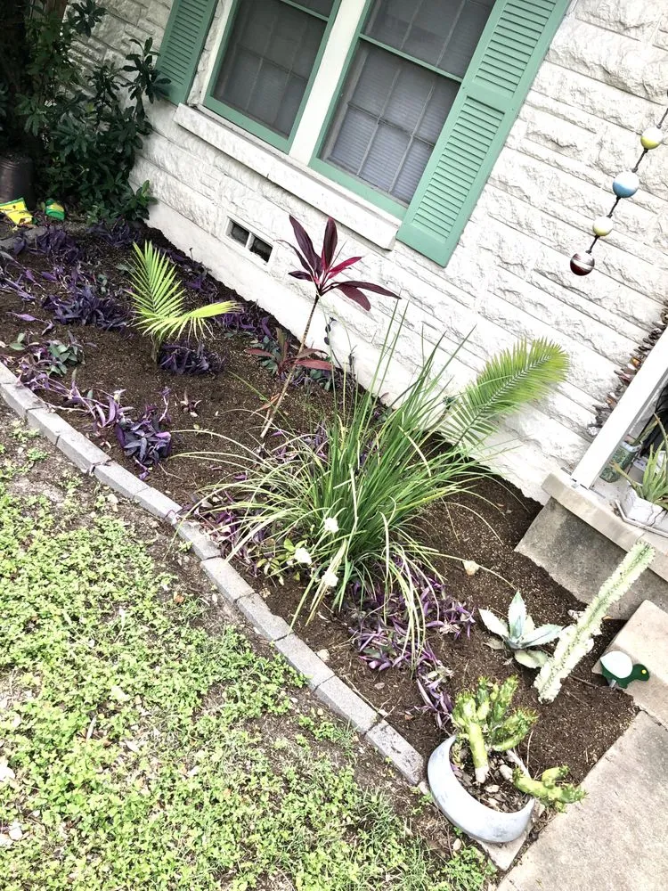 Professional landscaping services for year-round maintenance in Round Rock, TX by Oak Grove Lawn and Landscape