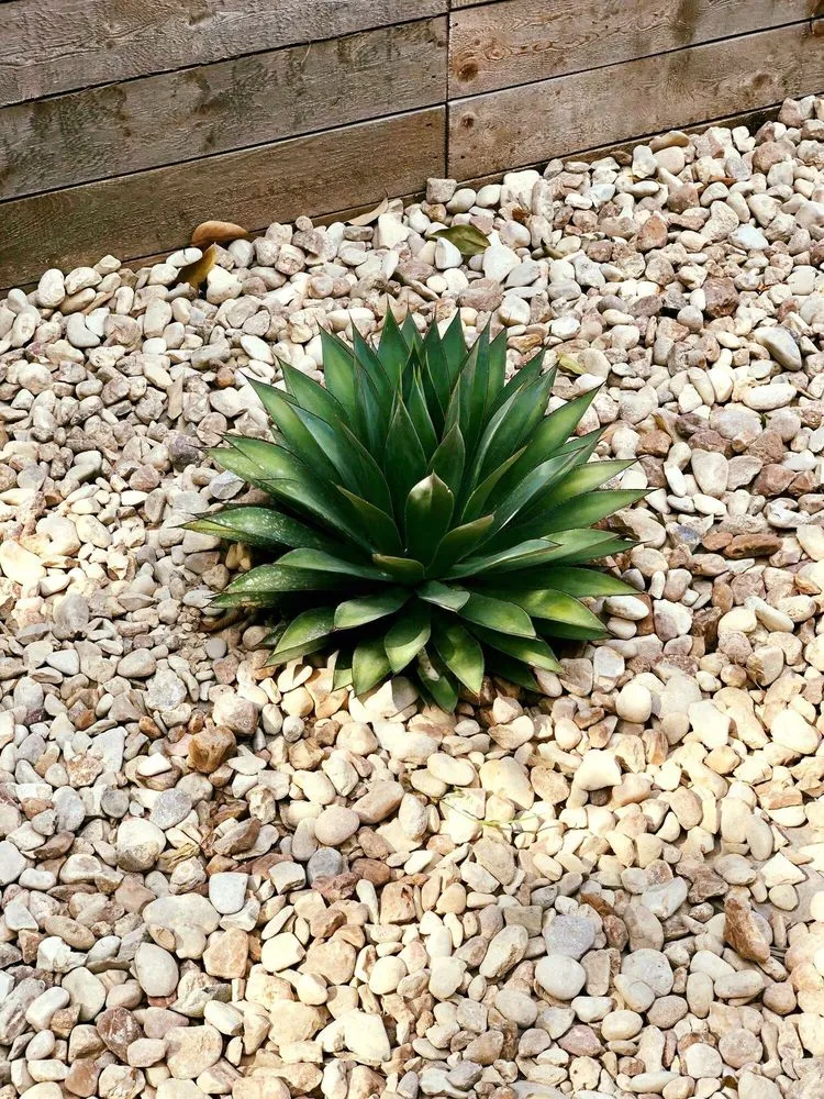 Trusted landscaping services experts serving Round Rock, TX - Oak Grove Lawn and Landscape