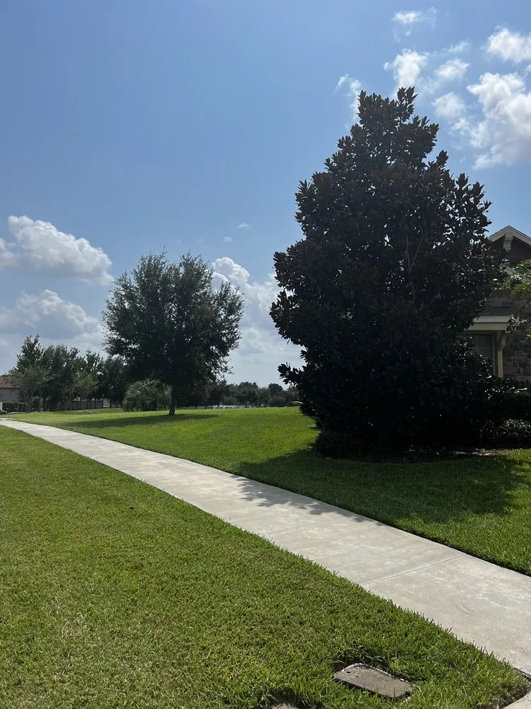 Professional residential landscaping in Celebration, FL - Oak Grove Lawn And Landscaping