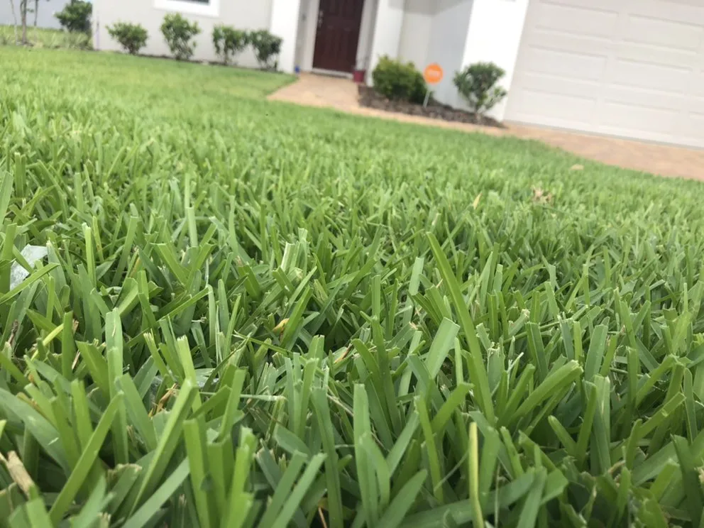 Local lawn care service for residential properties across Celebration, FL - Oak Grove Lawn And Landscaping