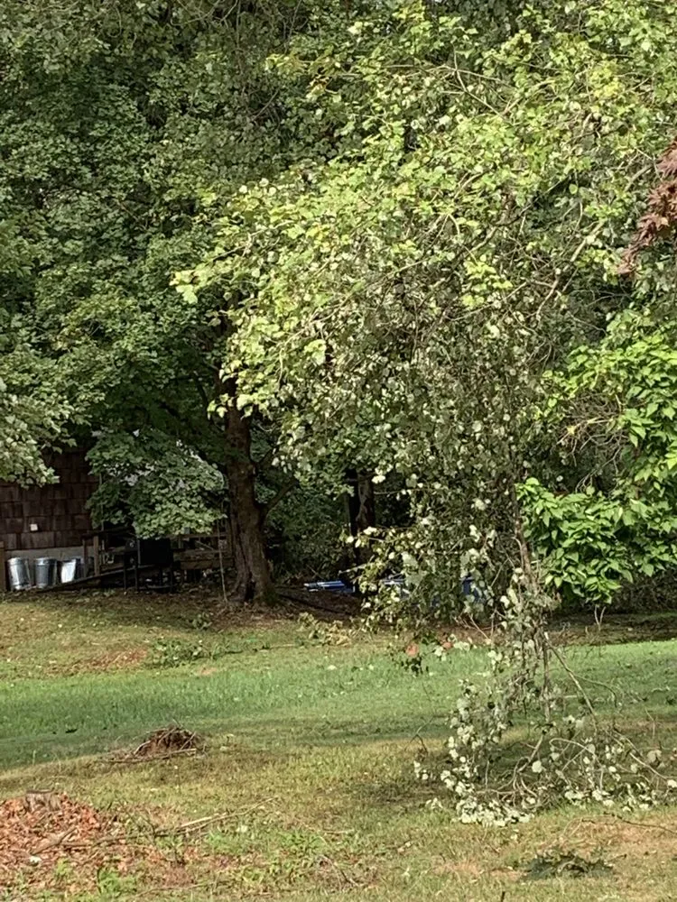 Custom yard maintenance in Raleigh, NC by Oak Hill Landscaping