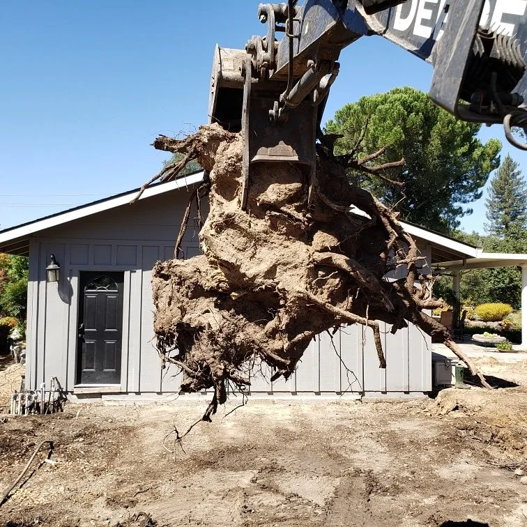 Expert yard cleanup service experts serving Elverta, CA - Oak Hills Landscaping