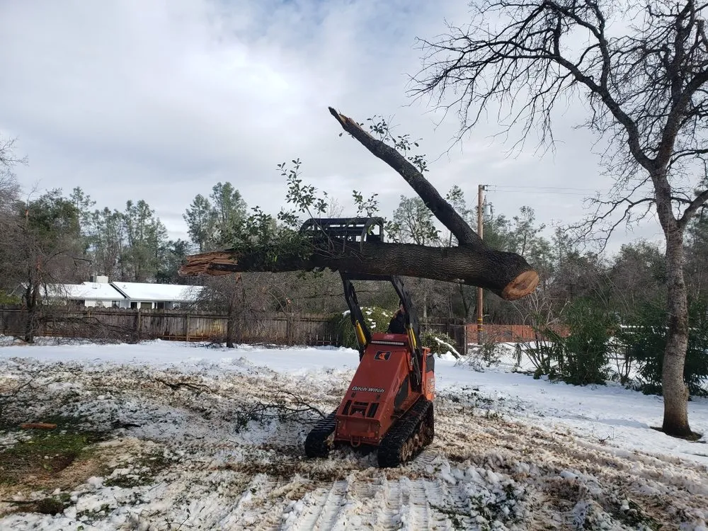 Top-rated landscaping services in Elverta, CA by Oak Hills Landscaping