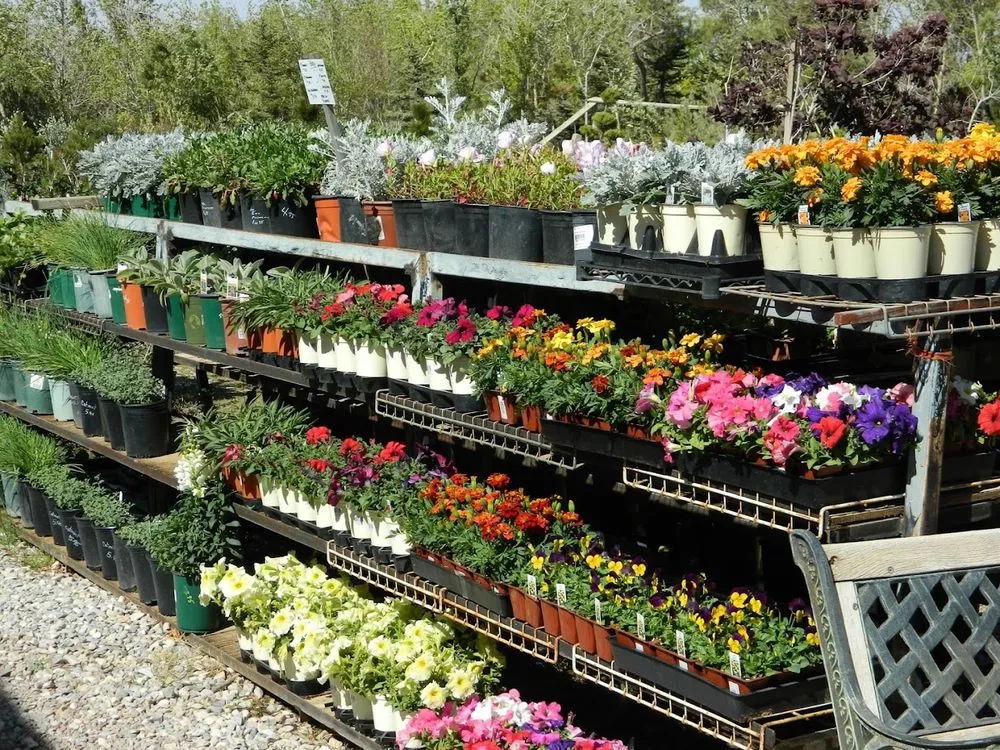 Trusted lawn care service for beautiful yards in Oak Hills, CA by Oak Hills Nursery