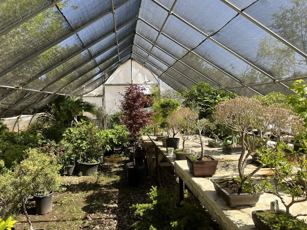 Reliable outdoor landscaping experts serving Oak Hills, CA - Oak Hills Nursery