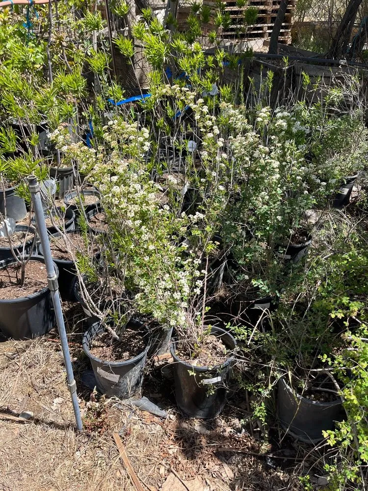 Affordable residential landscaping for outdoor upgrades in Oak Hills, CA by Oak Hills Nursery