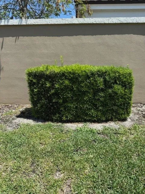 Custom lawn mowing service with custom design in DeLand, FL by Oak Land Care