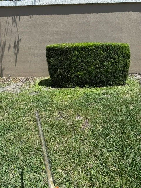 Reliable landscape design for year-round maintenance in DeLand, FL by Oak Land Care