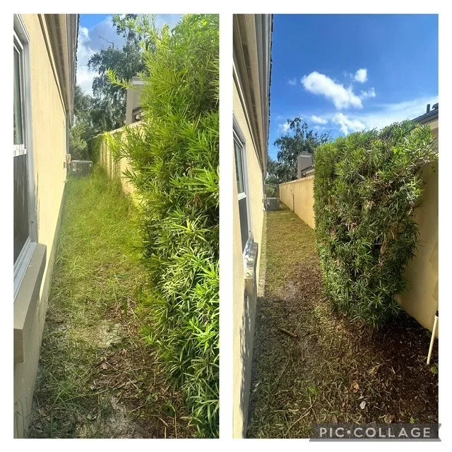 Reliable lawn care service for homes in DeLand, FL by Oak Land Care