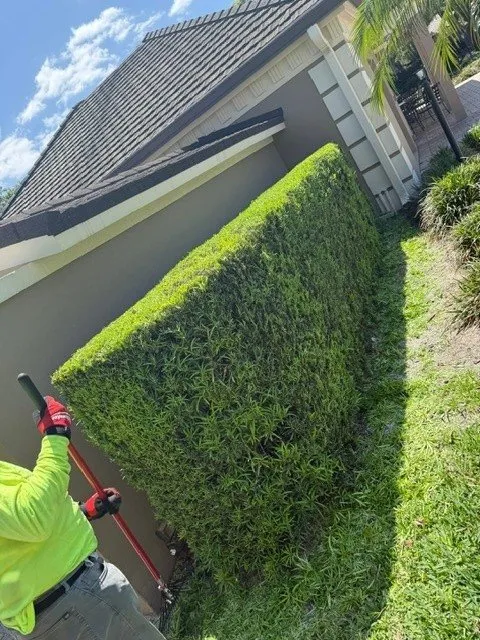 Professional landscape design in DeLand, FL - Oak Land Care