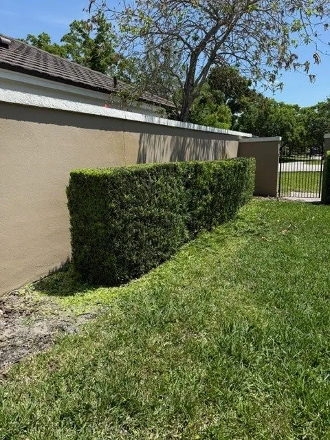 Trusted lawn mowing service for homes in DeLand, FL by Oak Land Care