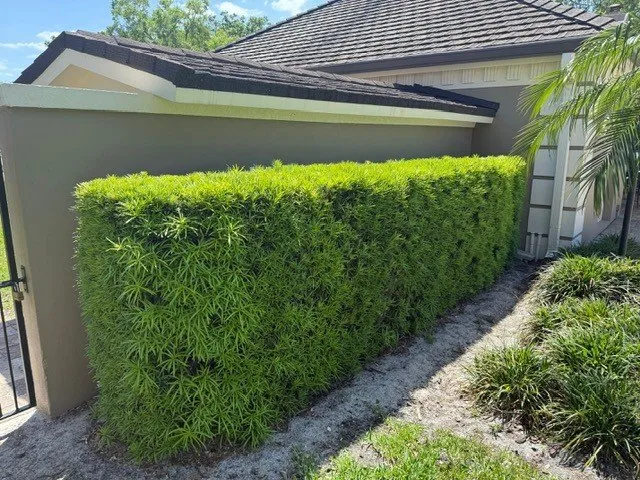 Expert lawn mowing service in DeLand, FL by Oak Land Care