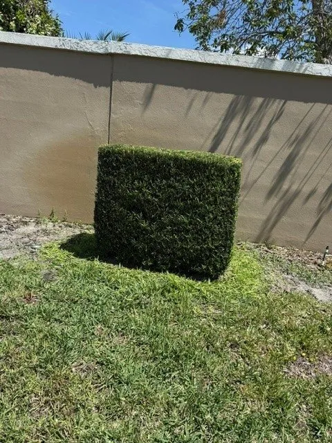 Trusted lawn care service in DeLand, FL - Oak Land Care