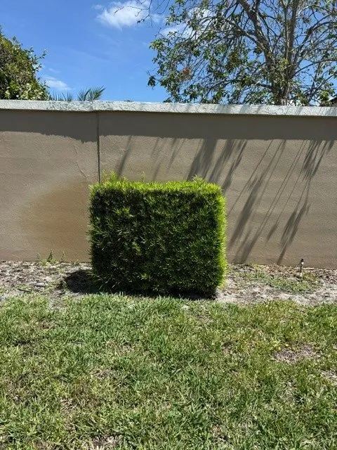 Custom yard cleanup service in DeLand, FL by Oak Land Care