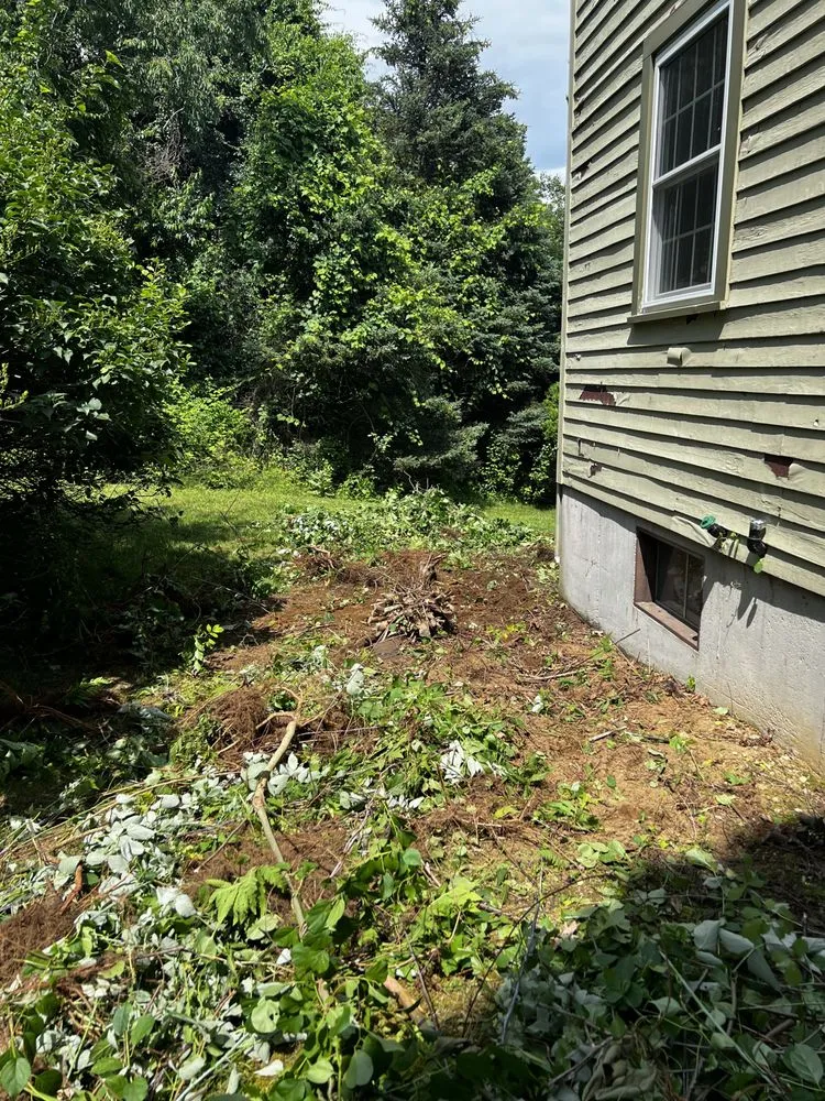 Reliable outdoor landscaping in Framingham, MA - Oak Landscape