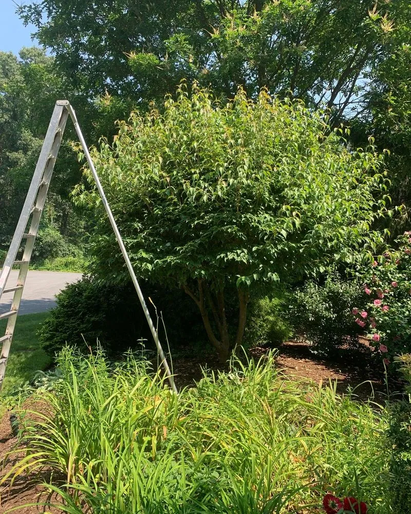 Expert garden landscaping in Framingham, MA by Oak Landscape