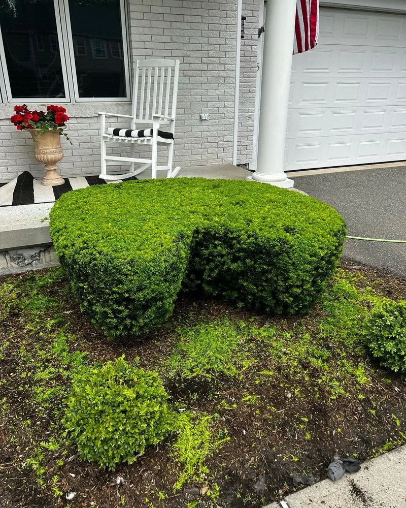 Top-rated residential landscaping for outdoor upgrades in Framingham, MA by Oak Landscape