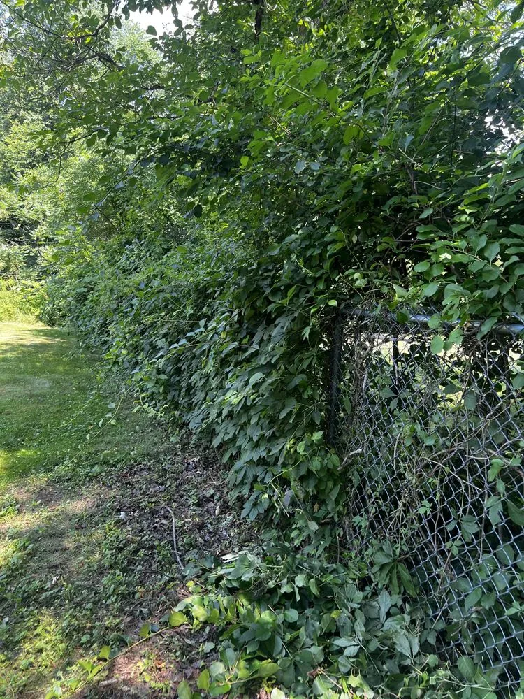 Custom landscape design for residential properties in Framingham, MA by Oak Landscape