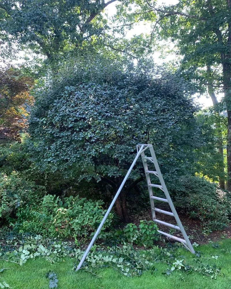 Affordable landscape installation for outdoor upgrades across Framingham, MA - Oak Landscape