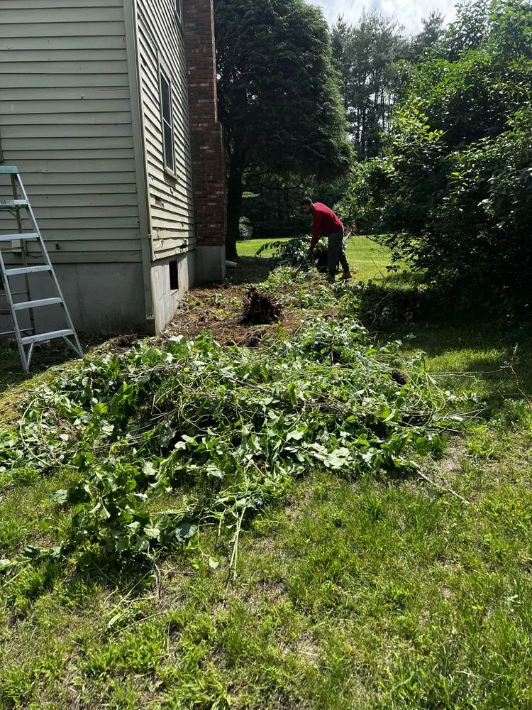 Affordable garden landscaping for residential properties in Framingham, MA by Oak Landscape