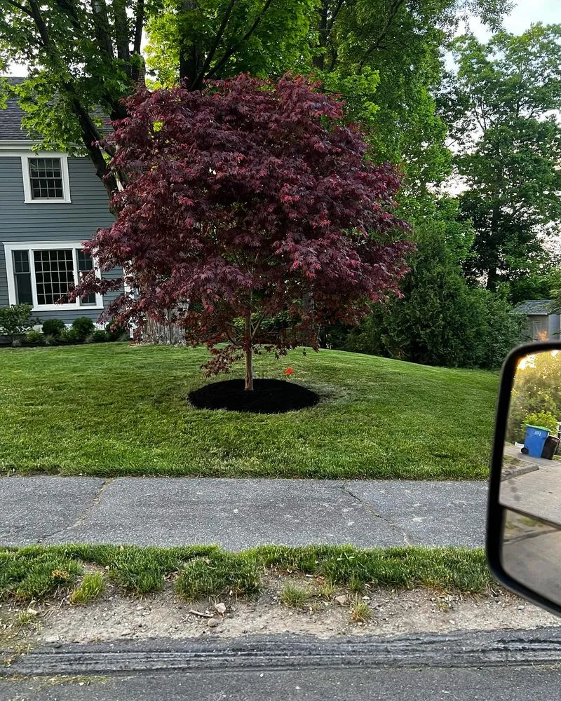 Local outdoor landscaping for residential properties in Framingham, MA by Oak Landscape