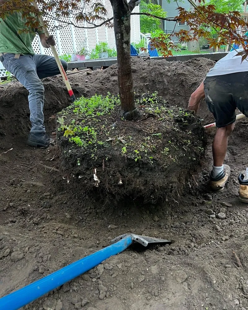 Reliable lawn care service in Framingham, MA by Oak Landscape