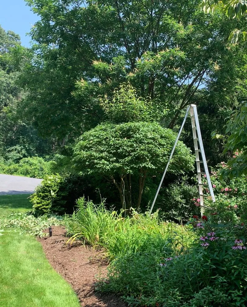 Reliable lawn mowing service for beautiful yards in Framingham, MA by Oak Landscape
