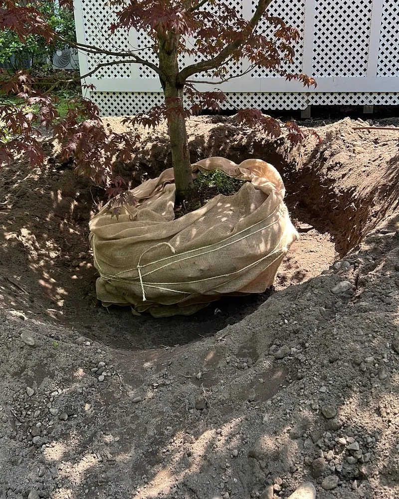 Expert landscaping services for year-round maintenance across Framingham, MA - Oak Landscape