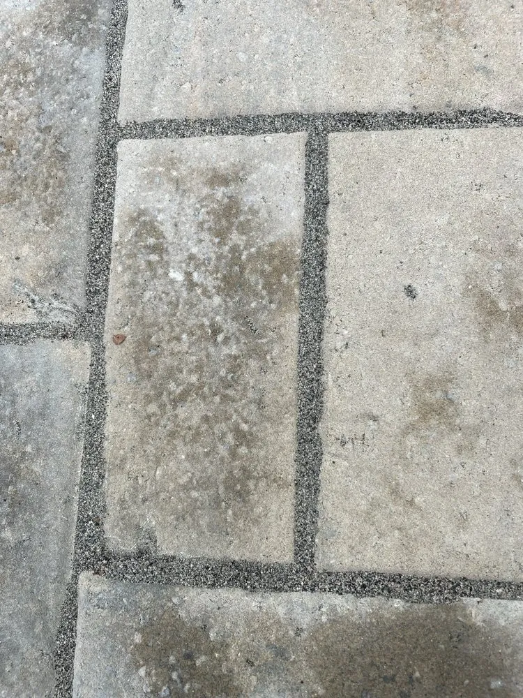 Affordable lawn mowing service in Charleston, SC - Oak Landscape Management