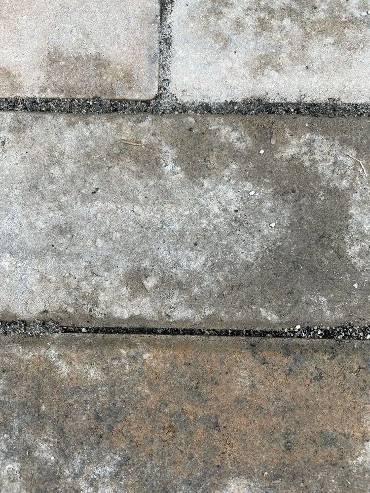 Reliable landscaping services for beautiful yards across Charleston, SC - Oak Landscape Management