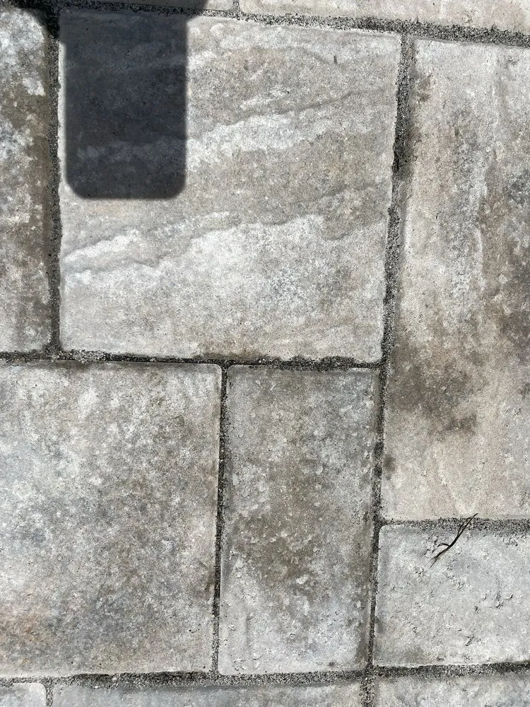 Professional yard cleanup service near you in Charleston, SC by Oak Landscape Management