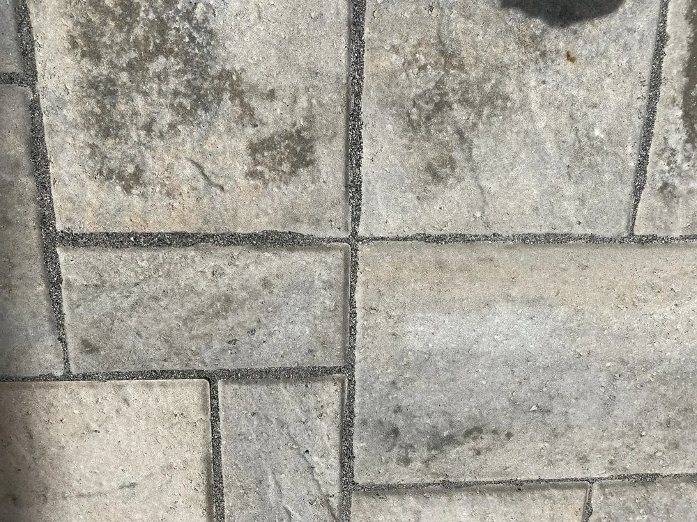 Top-rated yard maintenance in Charleston, SC - Oak Landscape Management