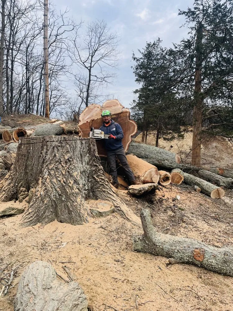 Top-rated landscape design in Norwalk, CT - Oak Landscaping and tree service