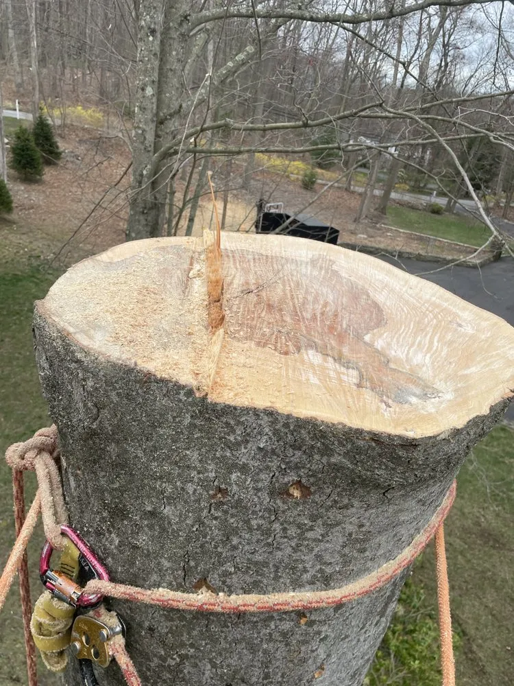 Expert landscape design in Norwalk, CT - Oak Landscaping and tree service