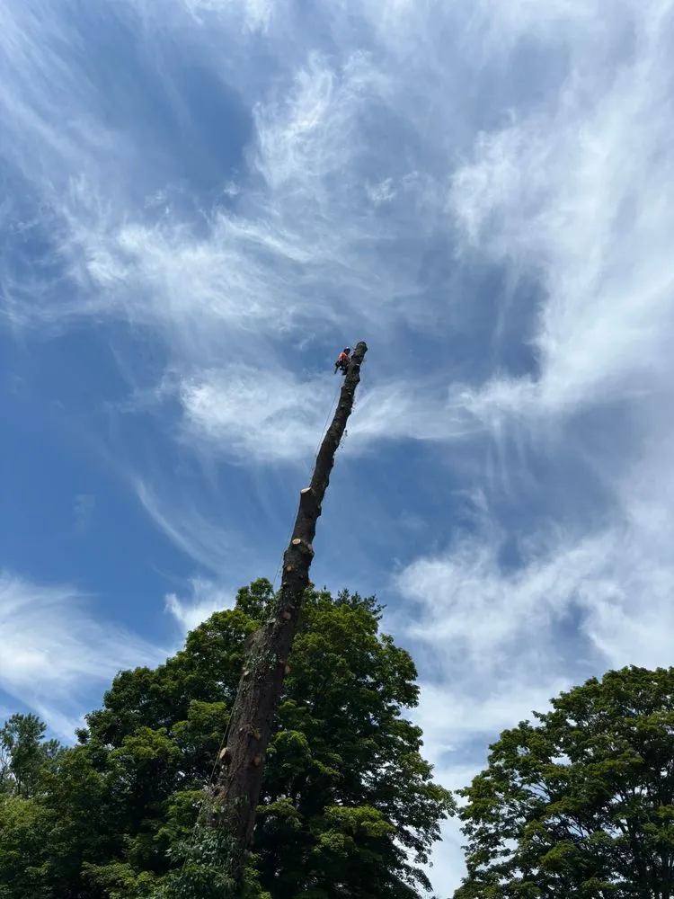 Trusted lawn mowing service for homes across Norwalk, CT - Oak Landscaping and tree service