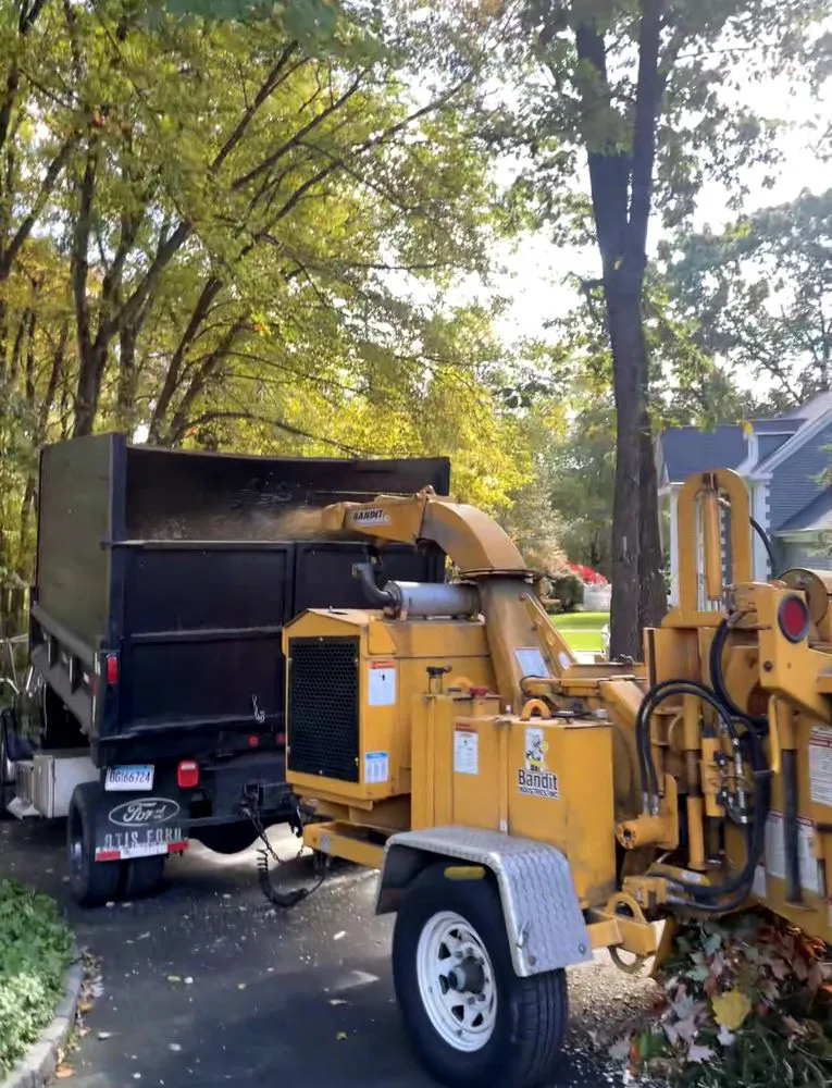 Custom yard cleanup service for outdoor upgrades in Norwalk, CT by Oak Landscaping and tree service