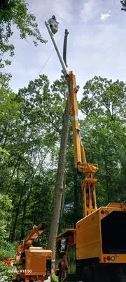 Oak Landscaping and tree service Logo