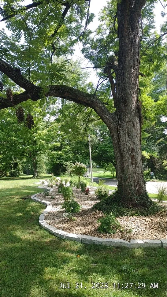 Affordable residential landscaping in Bloomfield, IN by OAK Landscaping