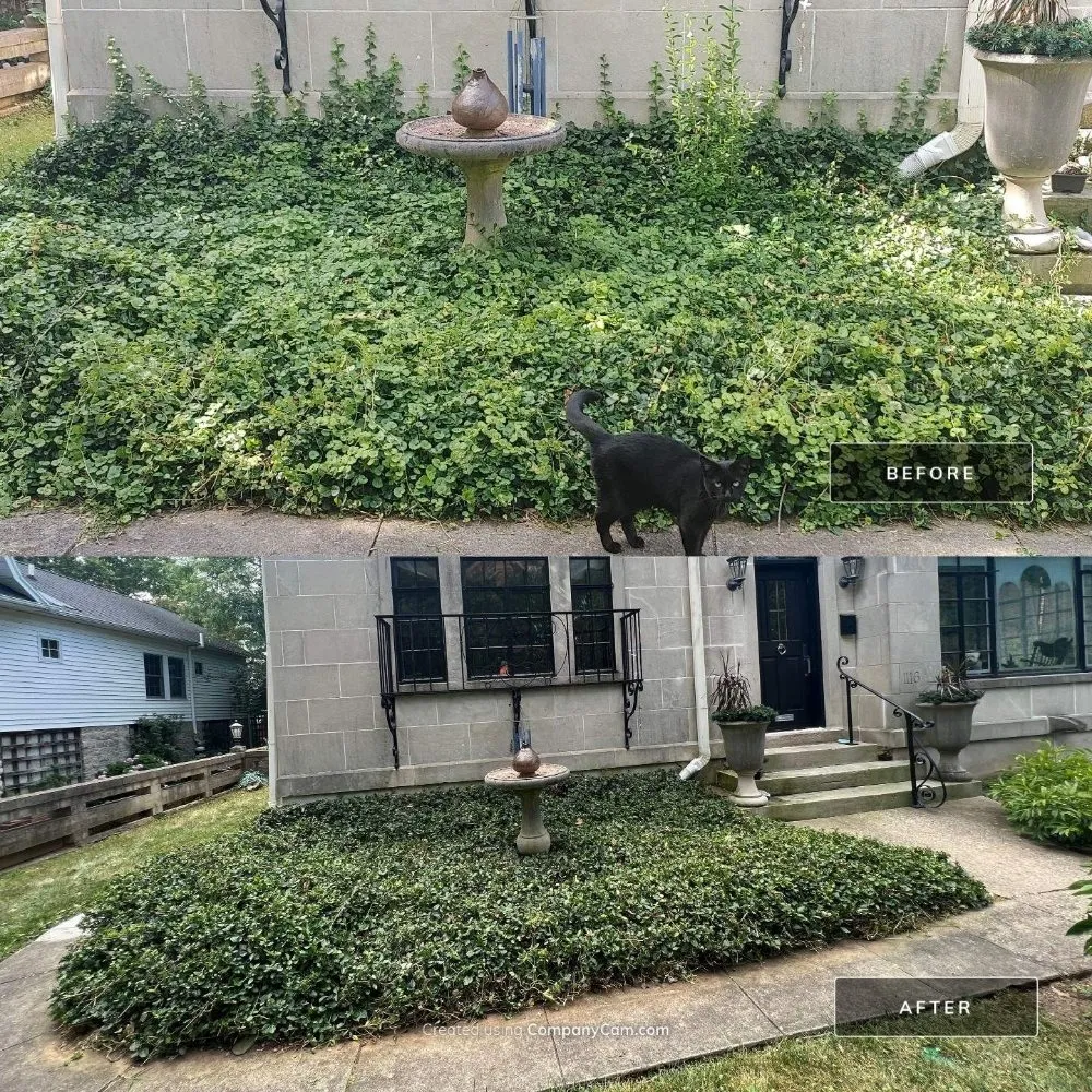 Expert outdoor landscaping for homes across Bloomfield, IN - OAK Landscaping