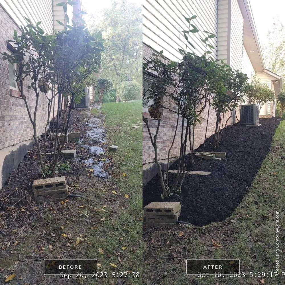 Top-rated landscape installation in Bloomfield, IN by OAK Landscaping