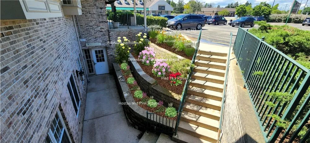 Expert yard cleanup service in Menomonee Falls, WI - Oak Leaf Landscape